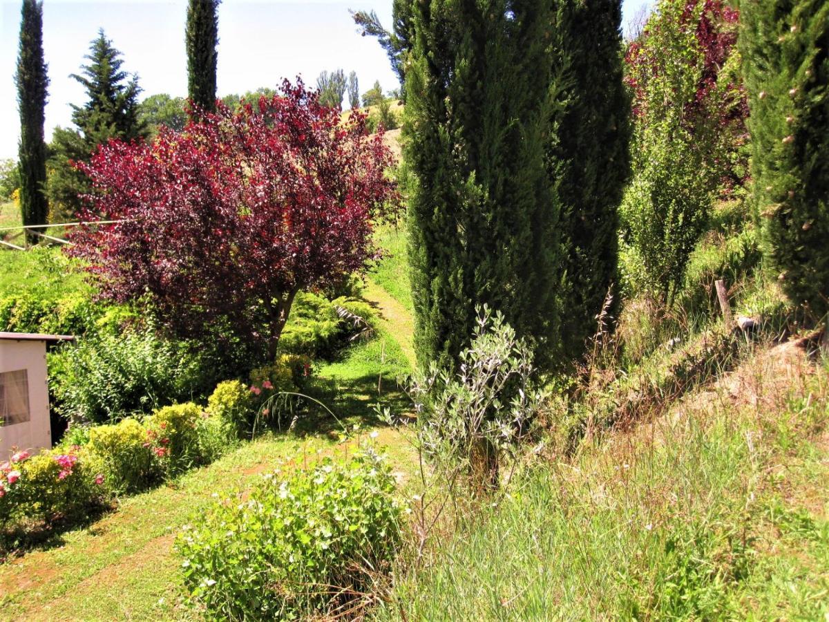 מונטונה La Pietra Rara B&B מראה חיצוני תמונה
