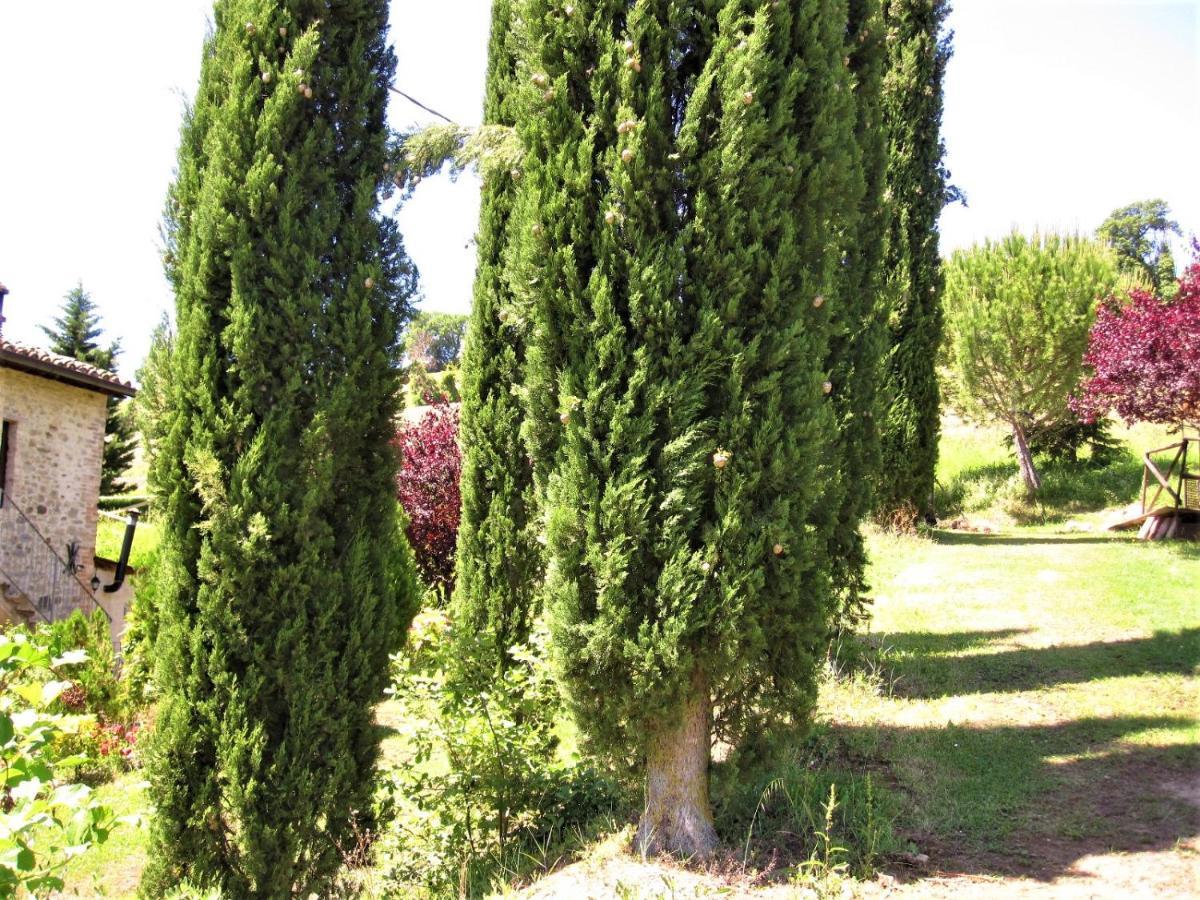 מונטונה La Pietra Rara B&B מראה חיצוני תמונה
