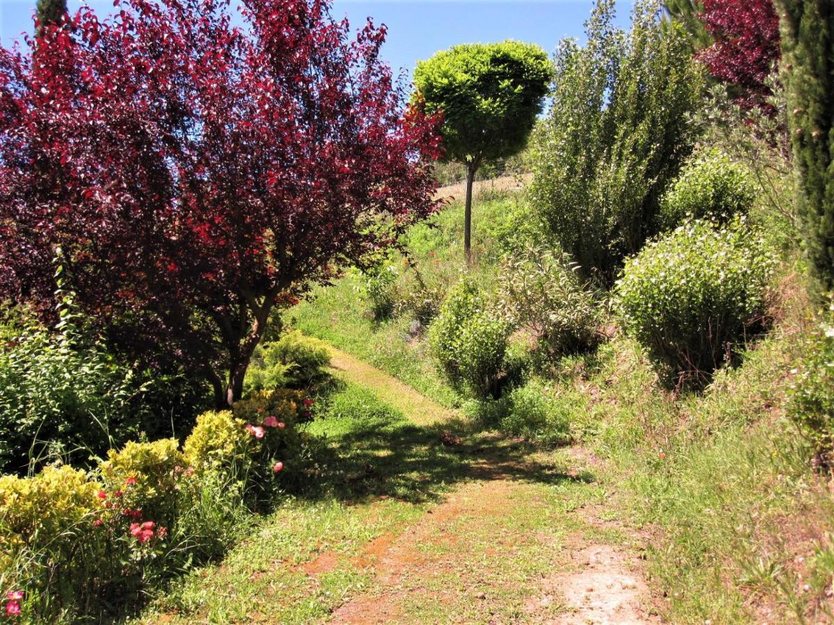 מונטונה La Pietra Rara B&B מראה חיצוני תמונה