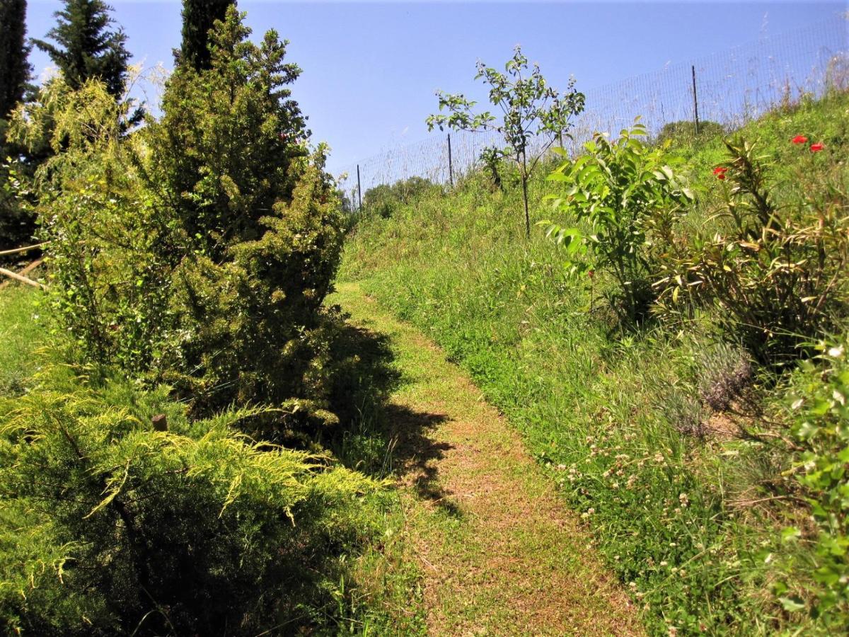 מונטונה La Pietra Rara B&B מראה חיצוני תמונה